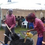 Charcoal briquettes